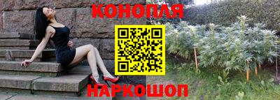 тгк Будённовск