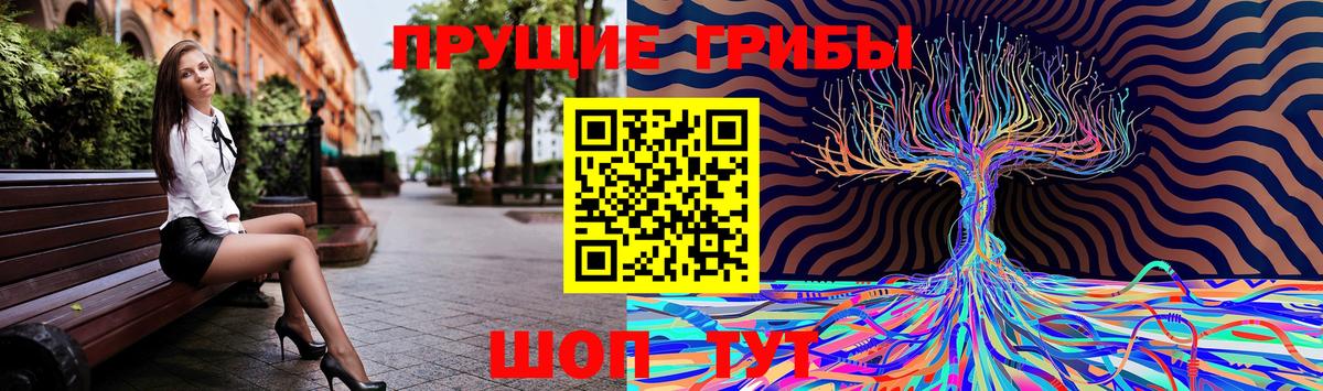 Псилоцибиновые грибы GOLDEN TEACHER  Псилоцибиновые грибы MAGIC MUSHROOMS  Вход с VPN  Кунгур 